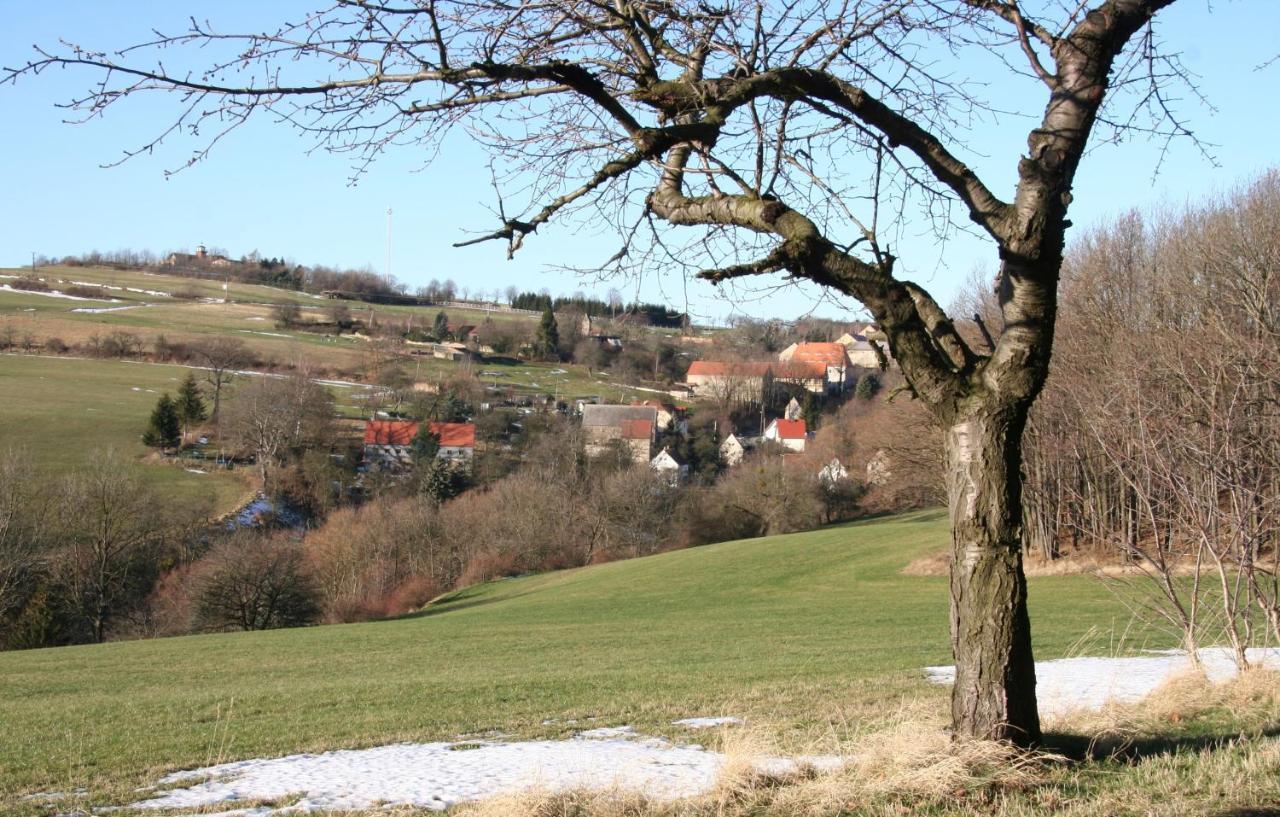 Вилла Fachwerkhaus Maxen Muglitztal Экстерьер фото